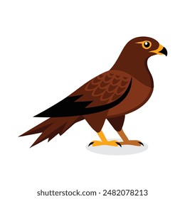 Hawk Animal isolated flat vector illustration on white background