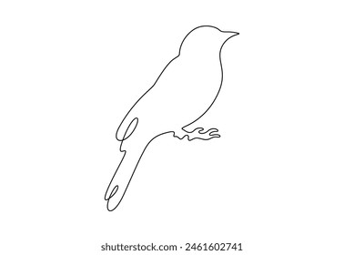 Hawk bird continuous one line drawing vector illustration