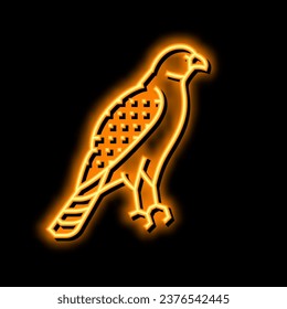 hawk bird neon light sign vector. hawk bird illustration