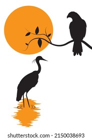 Hawk bird on branch and heron silhouette on sunset, vector. Hawk bird illustration isolated on white background. Wall art, artwork, wall decals