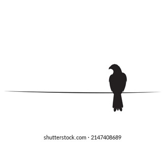 Hawk bird on branch, vector. Hawk bird illustration isolated on white background. Wall art, artwork, wall decals