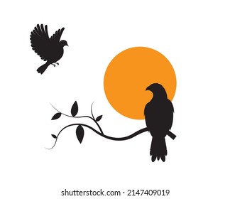 Hawk bird on branch, vector. Hawk bird illustration isolated on white background. Wall art, artwork, wall decals