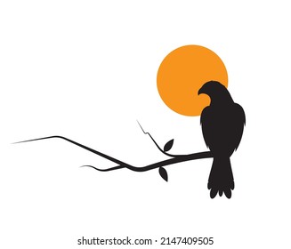 Hawk bird on branch, vector. Hawk bird illustration isolated on white background. Wall art, artwork, wall decals