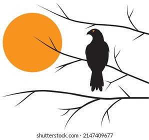 Hawk bird on branch, vector. Hawk bird illustration isolated on white background. Wall art, artwork, wall decals