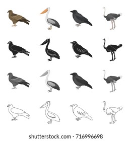 A hawk, a bird of prey, a pelican, a gray crow, an emu ostrich. Bird set collection icons in cartoon black monochrome outline style vector symbol stock illustration web.