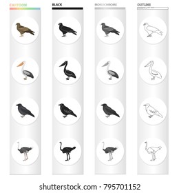 A hawk, a bird of prey, a pelican, a gray crow, an emu ostrich. Bird set collection icons in cartoon black monochrome outline style vector symbol stock illustration web.