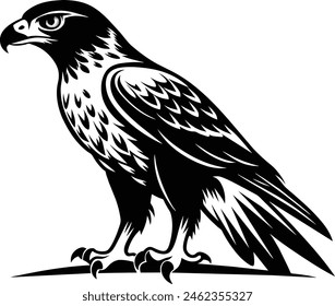 A hawk bird silhouette black vector artwork illustration