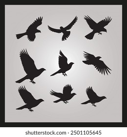 Hawk bird silhouette set Clipart on a hex color background