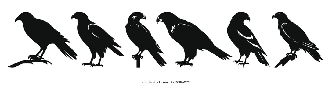 Conjunto de Vector de siluetas de aves halcón Pájaros halcón Negro