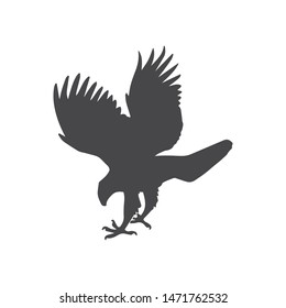 Hawk bird vector icon, simple sign for web site and mobile app.