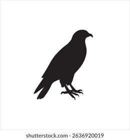 Hawk Black Beautiful Bird Image