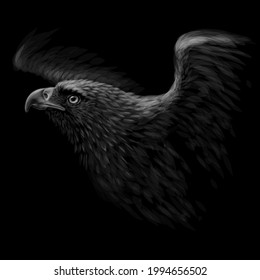 A hawk. A black-and-white, graphic portrait of a flying hawk on a black background. Digital vector graphics. 