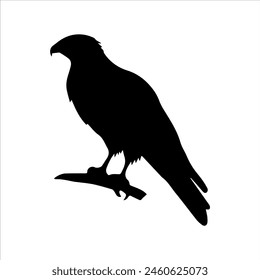 Hawk branch silhouette isolated on white background. Hawk sitting icon vector illustration design.