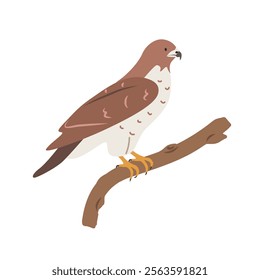 Hawk cartoon clipart. Hawk vector illustration in flat style. Hand-drawn wild animal concept