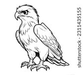 Hawk, colouring book for kids, vector illustration