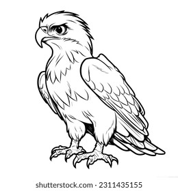 Hawk, colouring book for kids, vector illustration