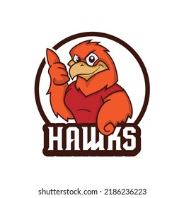 Hawk Eagle bird character mascot logo