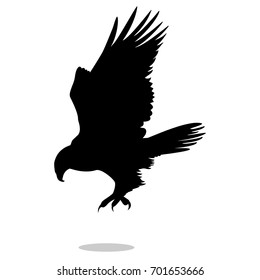 Hawk Eagle Falcon Bird Black Silhouette Animal. Vector Illustrator.