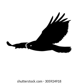 Hawk Or Eagle Silhouette Flat Vector Icon For Nature Apps And Websites