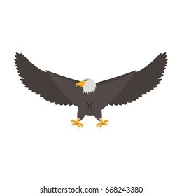 Hawk eagle symbol