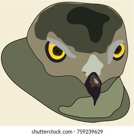 Hawk face sharp colours Vector illustration icon logo