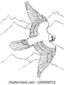 Hawk flies over rocky mountains. Hand drawn illustrations for coloring