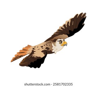 hawk flying cartoon style, vector illustration.