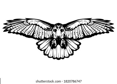 HAWK FLYING VECTOR ILLUSTRATION FULL BODY LINEART