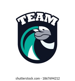 hawk head animal emblem icon with team lettering vector illustration design