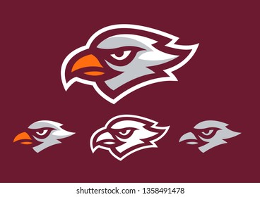Hawk Head Mascot Vector Logo EPS10