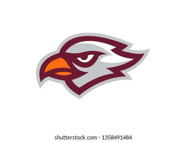 Hawk Head Mascot Vector Logo EPS10