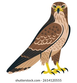 Hawk isolated vector illustration on white background