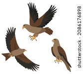 Hawk or kite predatory bird icons set. Flying and sitting Hawks and kites birds isolated on white background. Nature and wildlife, birdwatching and ornithology design. Vector illustration.