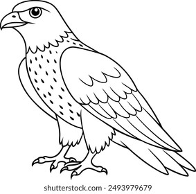 Hawk line art vector file