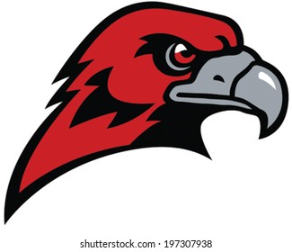 Hawk Mascot