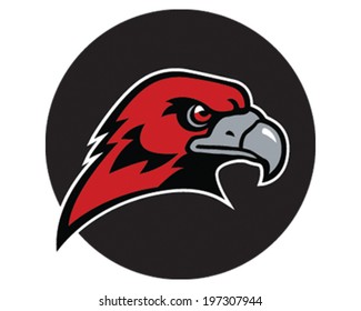 Hawk Mascot