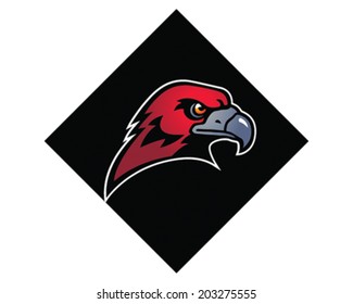 Hawk Mascot