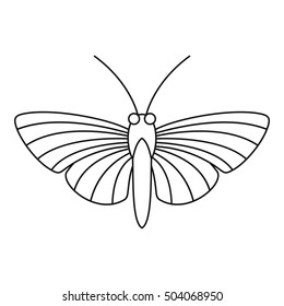 Hawk moth butterfly icon. Outline illustration of hawk moth butterfly vector icon for web