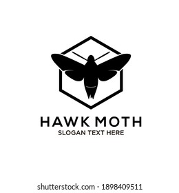 hawk moth logo design vector