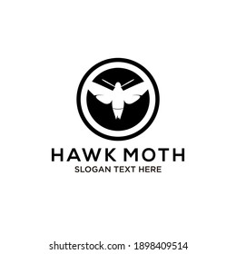 hawk moth logo design vector