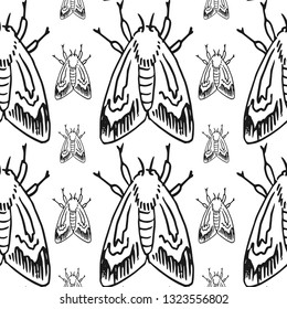 hawk moth seamless pattern isolated on white background
