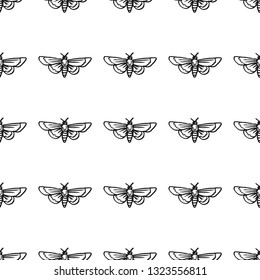 hawk moth seamless pattern isolated on white background