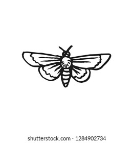 hawk moth vector doodle sketch isolated on white background
