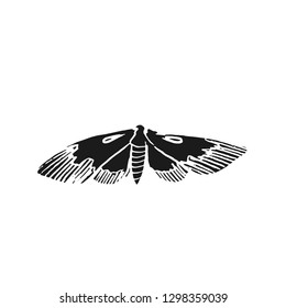 hawk moth vector doodle sketch isolated on white background