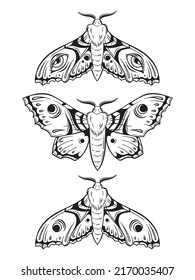Hawk Moths Hand Drawn Line Art Gothic Tattoo Design Set Isolated Vector Illustration