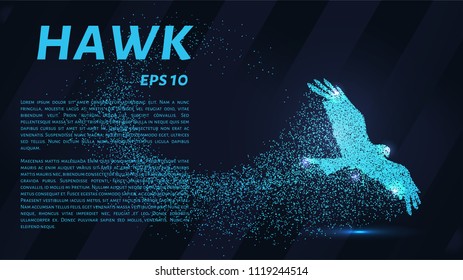 Hawk of the particles. The silhouette of a hawk consists of small circles