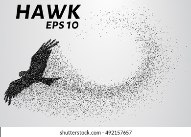 Hawk of the particles. The silhouette of a hawk consists of small circles.