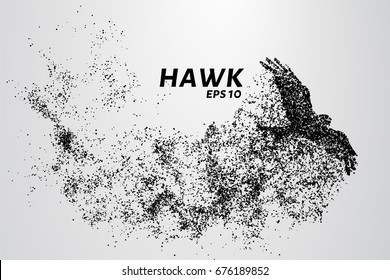 Hawk of the particles. The silhouette of a hawk consists of small circles