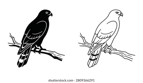 Hawk perched on branch silhouette and line art