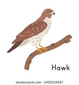 Hawk perched on tree branch vector illustration, cartoon clipart character, animal in flat style. Wild animals, avian, birds concept. Hawk vector design isolated on white background